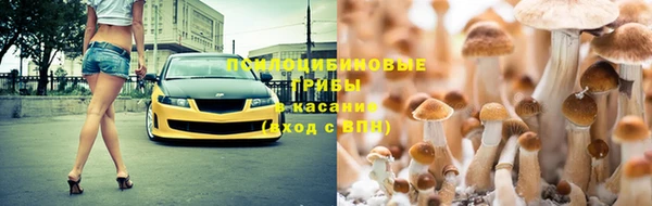 спиды Вяземский
