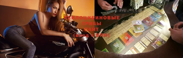 твердый Слюдянка