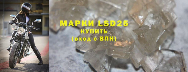 спиды Вяземский