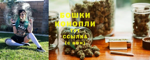 спиды Вяземский