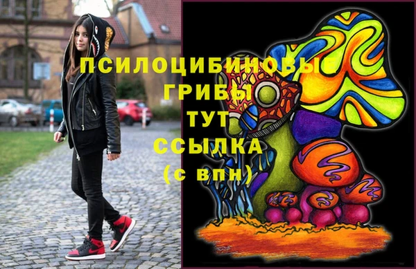 прущие грибы Снежногорск
