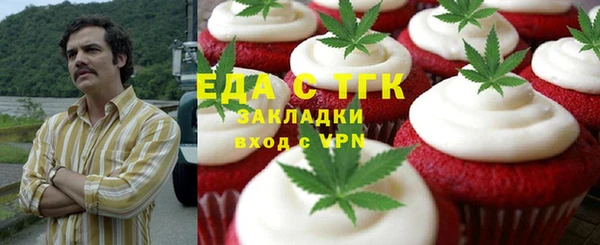 спиды Вяземский