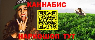 дживик Кингисепп