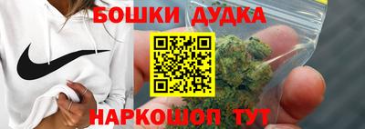 дживик Кингисепп