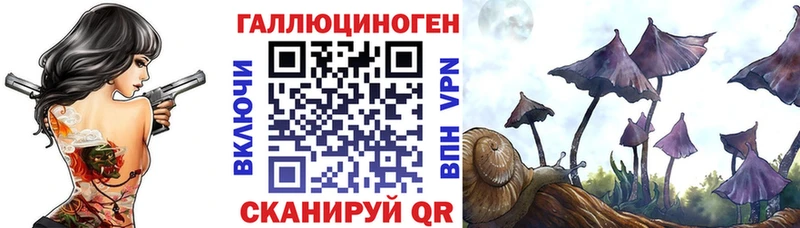 Псилоцибиновые грибы GOLDEN TEACHER  Елец 