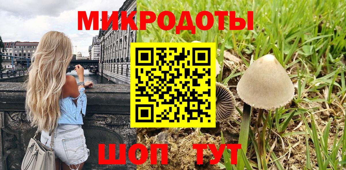 Галлюциногенные грибы мицелий Елец