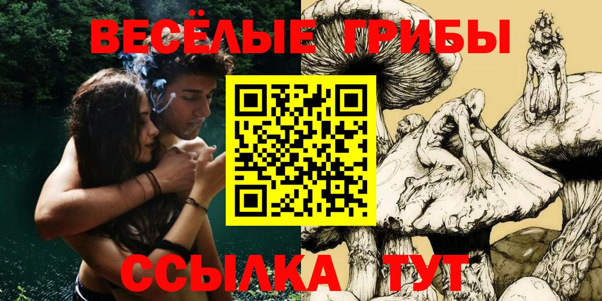 Галлюциногенные грибы прущие грибы  купить закладку  Елец  Вход с VPN 