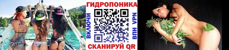 Каннабис White Widow  kraken зеркало  Елец 